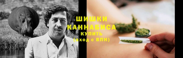 винт Абаза