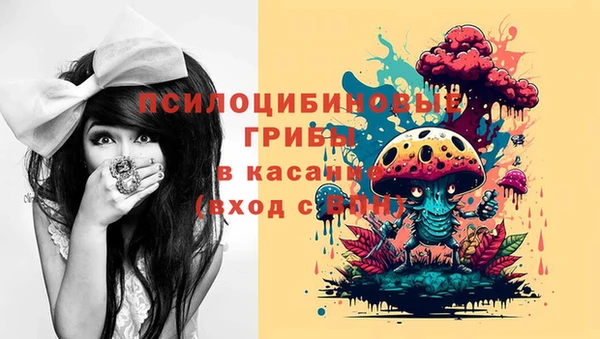винт Абаза