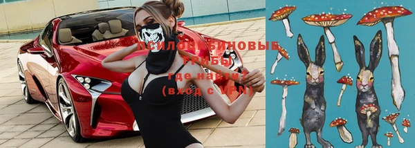 МДПВ Сосновый Бор