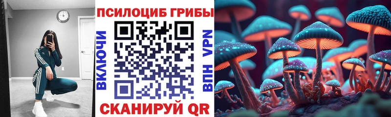 продажа наркотиков Болотное площадка какой сайт Псилоцибиновые грибы мицелий blacksprut вход